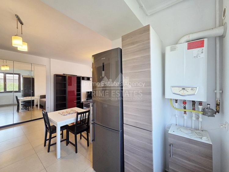 Inchiriere apartament 2 camere centrala proprie Crangasi Podul Grant - 17