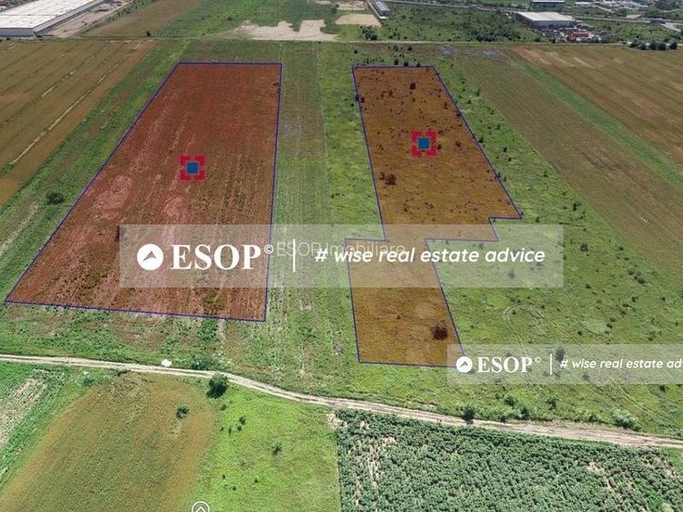 WDP Industrial Park Dragomiresti 2, spatii industriale, 5.900-41.365mp - 3