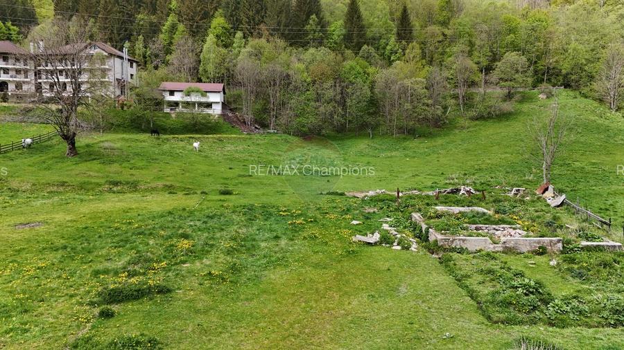 Intravilan | 10.000 mp| Sătic-Rucăr | Acces facil | Potențial excelent - 4