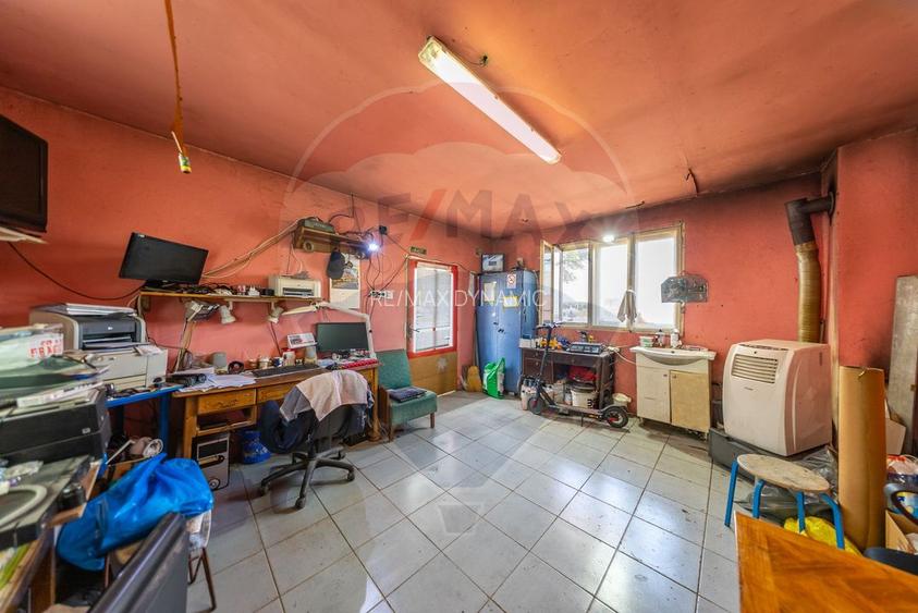 Spațiu industrial cu potential de vanzare in Paulis,Arad - 11