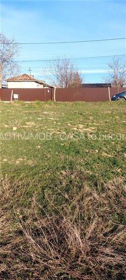 Teren TOP 1400mp  18ml stradal  Vanatori (Odaia Manolache) - 6