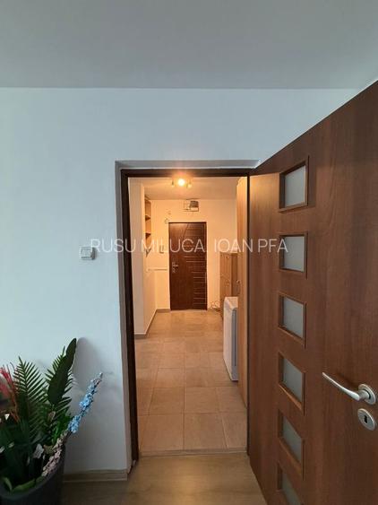 Inchiriere Apartament 3 camere Drumul Taberei - 17