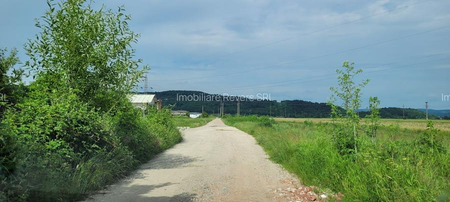 TEREN AGRICOL BABENI LANGA ABATOR LA PROVINCIA - pretabil ferma cu panour solare - 9