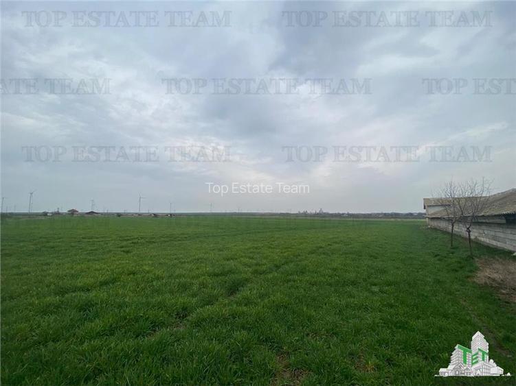 TEREN INTRAVILAN 444M SCHITU - 2