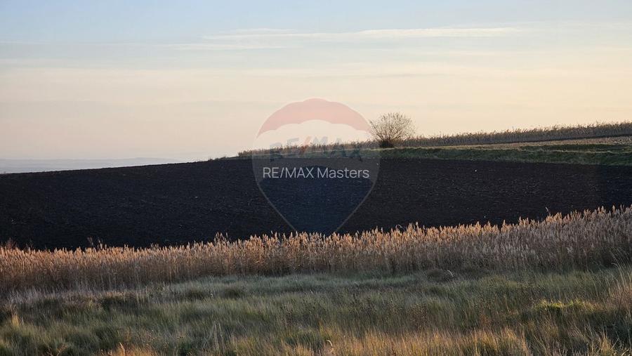 Teren extravilan 30077mp Stroiesti / Soseaua DN17, Suceava - 4