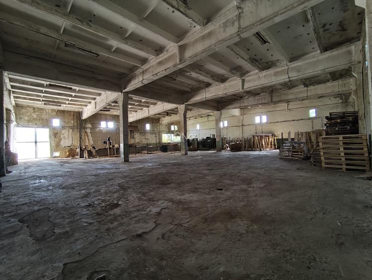 Teren+Hala Soseaua Bacaului-Vaslui 22.000mp - 3