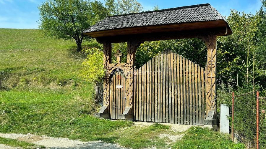 Complex de 3 case pe 18000 mp teren - 35