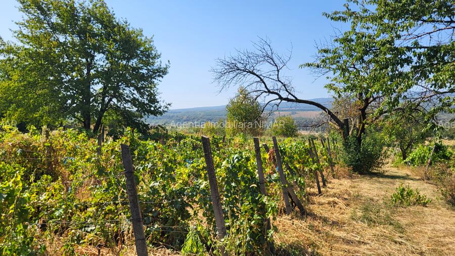 Casă de vânzare în mediul rural – liniște, natură și confort - 10
