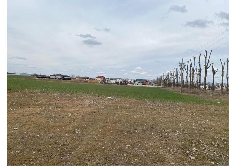 Teren intravilan 665 mp  (550m2 utili) – la șosea principală - 6