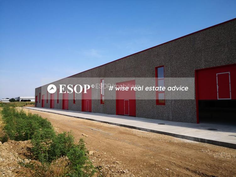 Hale industriale, parc modern, Rudeni, Chitila, Ilfov- ID 15462 - 12