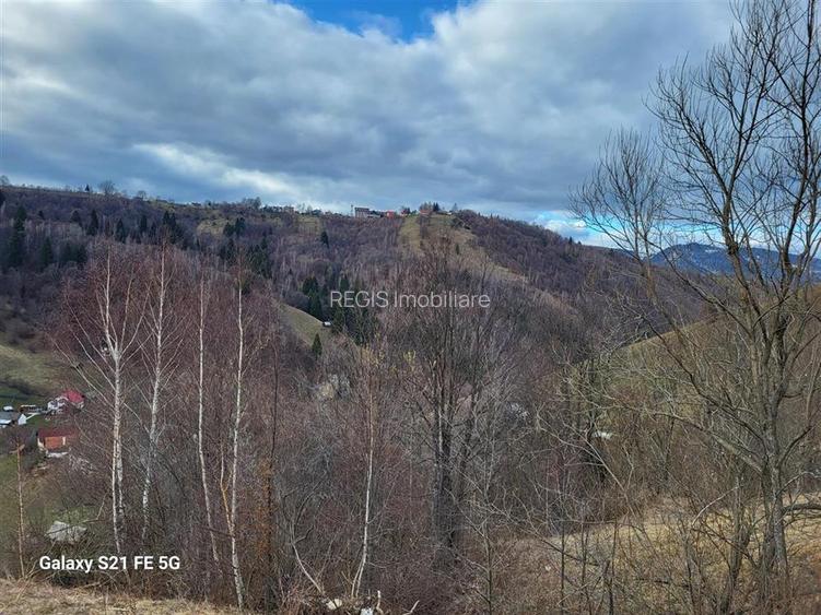 Teren, Zona de Interes Turistic-Cheile Gradistei,  8800mp - 8