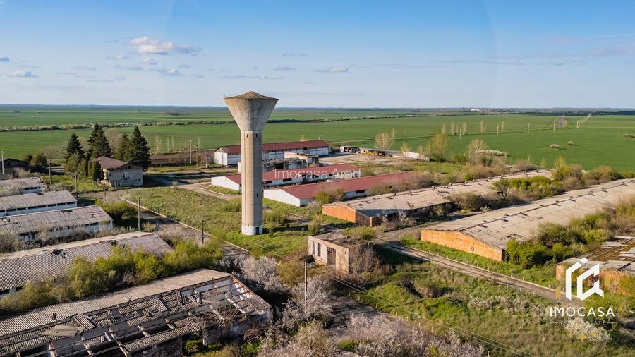 De vanzare Complex Zootehnic Suine Jud. Arad SU 15.30ha, Ferma, Grajd - 11