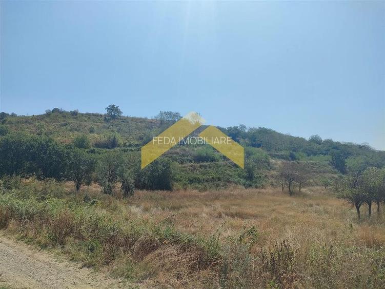 Teren intravilan pe deal Paulis, Arad - 6