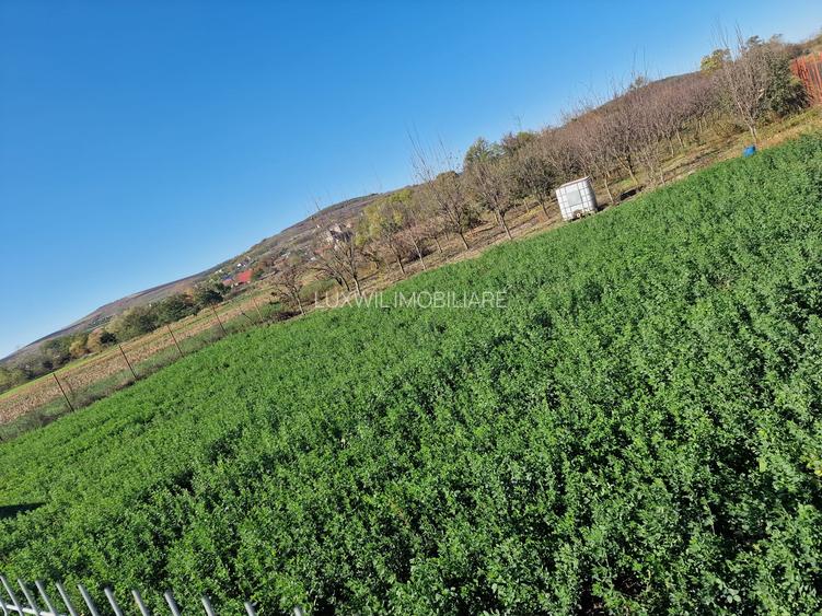 Vanzare teren în localitatea Răscruci - 5