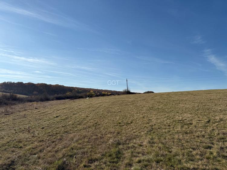 Parcele teren pentru cabane - sat Rusciori 567 mp - direct de la proprietar! - 10