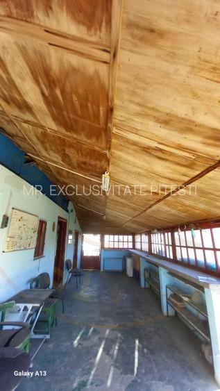 0% COMISION!!! CASA CU LAC IN INIMA PADURII  - DEALU BRADULUI - 14