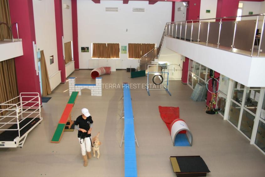 Oferta zilei! Spatiu comercial versatil Voluntari - 7