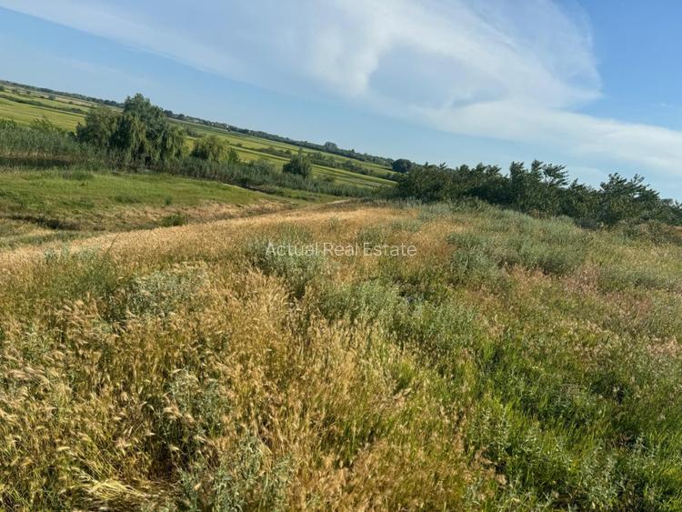 TEREN INTRAVILAN | DUNAVATU DE JOS | DESCHIDERE LA APA - 3