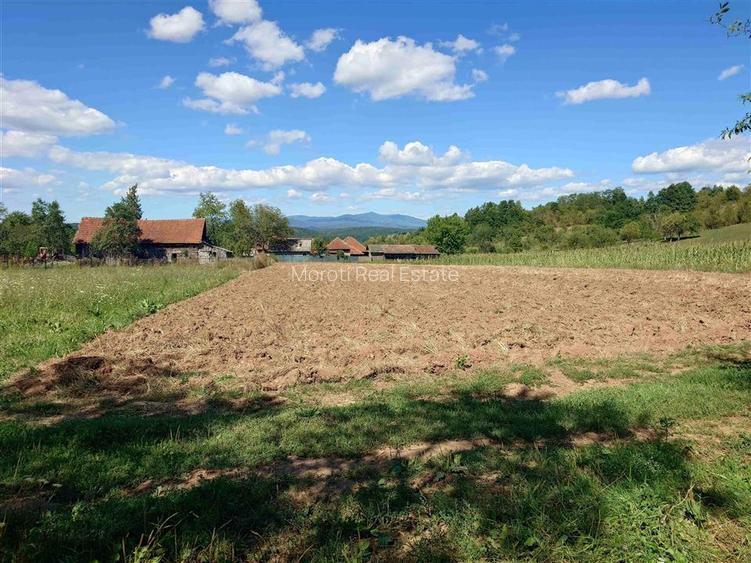 Teren intravilan pentru casa sau vacanta, Lunca, Baia de Cris - 3