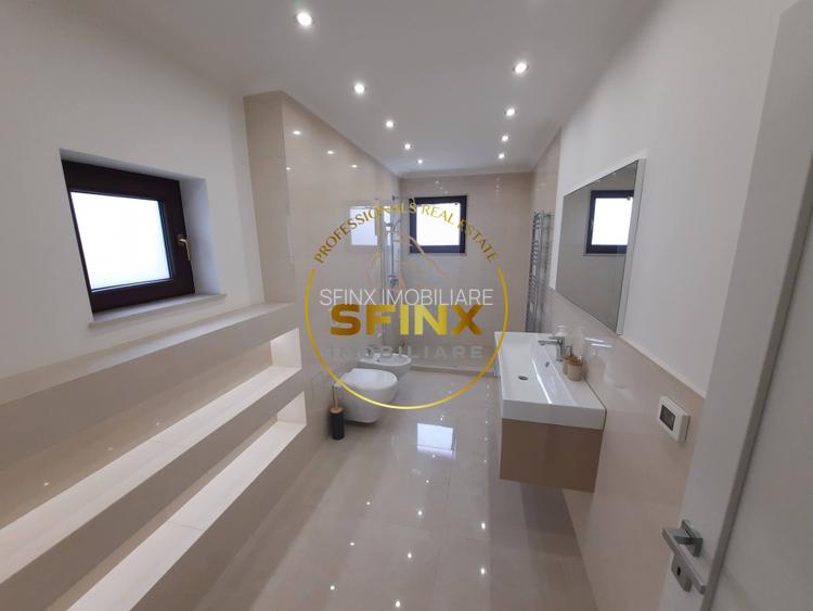 Vila Primăverii, imobil reprezentativ, individual, 3 intrări, 500 mp teren - 17