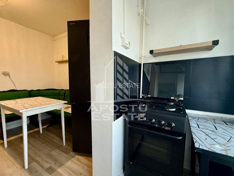 Apartament 2 camere decomandat, etaj 1, centrala, Lipovei Timisoara - 10