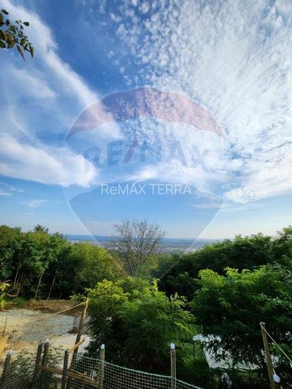 LOCATIE DEOSEBITA - Miron Costin - 2