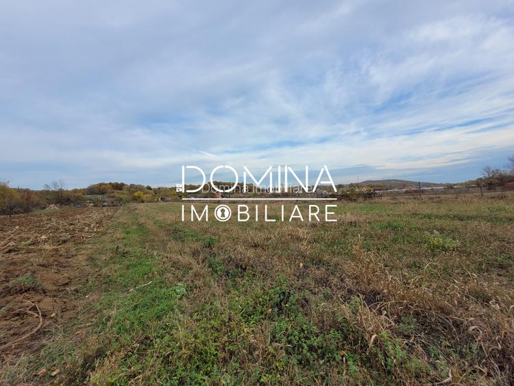 Vanzare teren intravilan, 4967  mp, utilitati, sat Rasova, Balesti - 2