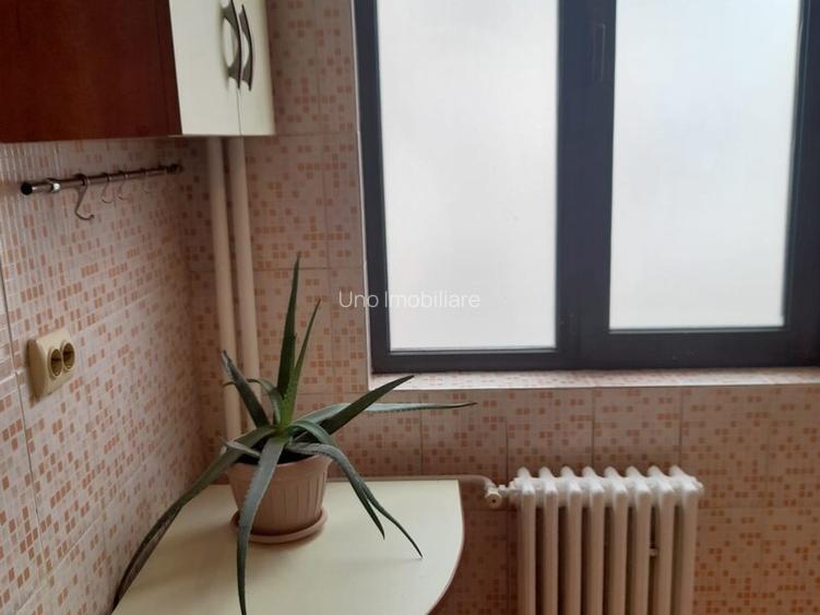 DOROBANTI ,IANCU DE HUNEDOARA GARSONIERA  PET FRIENDLY INCHIRIERE - 5