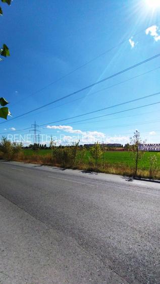 MEGA OCAZIE TEREN INTRAVILAN INDUSTRIAL 13652 MP DRUMUL LUNCA CETATII 42 E/MP - 9