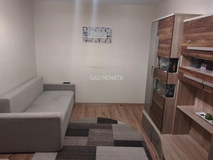 Apartament 2 camere Sighet, Maramures- Ideal locuinta sau spatiu comercial - 3