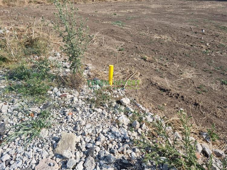 DN 4 Frumusani - Proprietar ofer spre vanzare teren 500 mp - 8