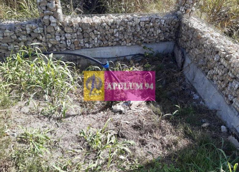 Casa Momentului - Clinceni Ordoreanu - 49