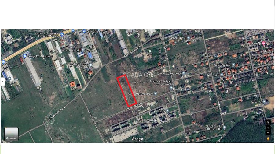 Pădurea Băneasa - 3