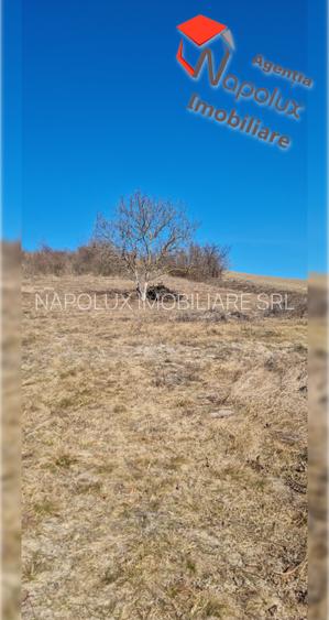 Exclusivitate! Teren de casa, Com. Cojocna - 6