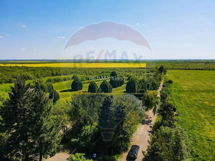 Vanzare Teren Constructii Adunatii-Copaceni, Deschidere Directa la DN5 - 8