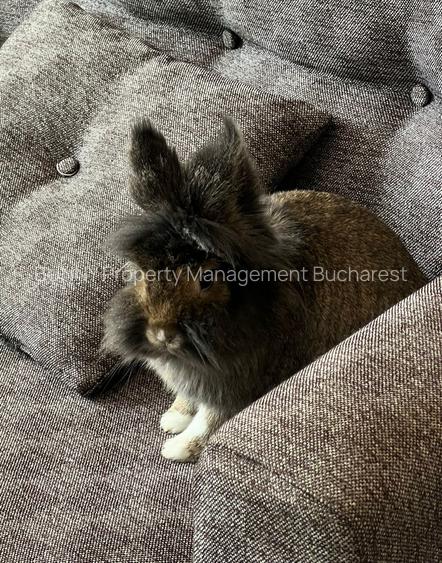 *SHORT/LONG TERM * AM256Et2 - MODERN CITY CENTRE APARTMENT - 3