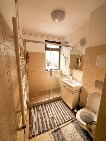 Apartament 2 camere - Ultracentral - Renovat - Full Accesorizat ! - 5