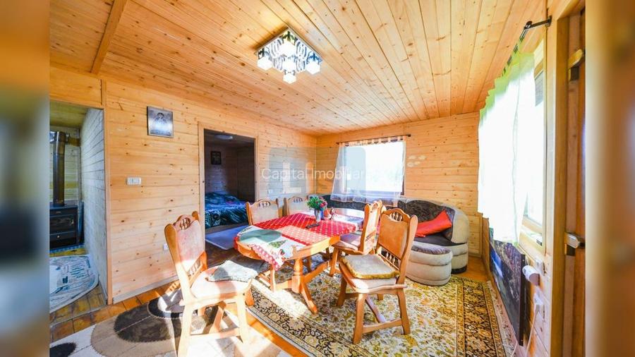 Casa cu teren de 3100 mp de vanzare in comuna Cornesti - 4