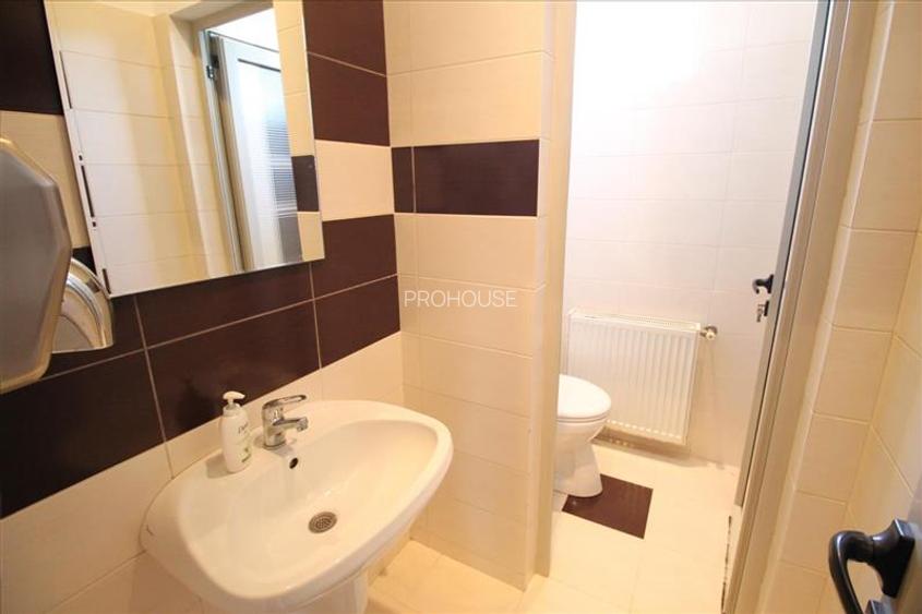 Spatiu comercial / birouri - calea Romanului - 6