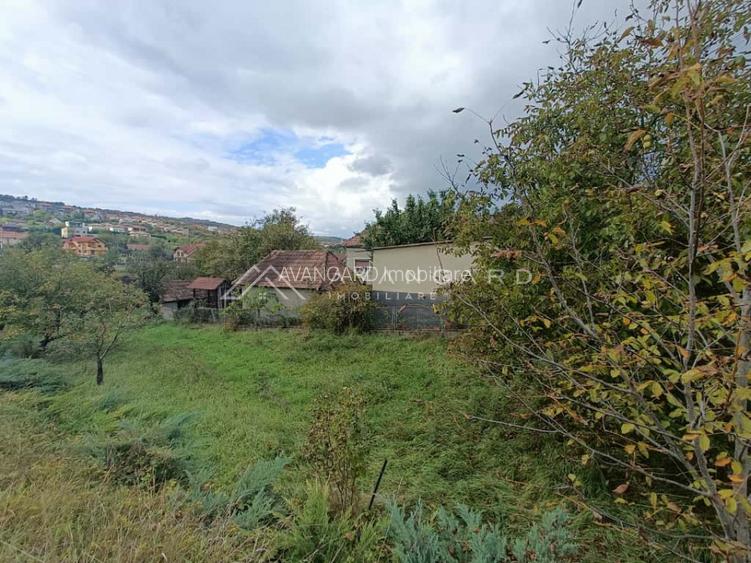 Teren autorizabil Liu | 1000mp | front 30ml | Borhanci - 2