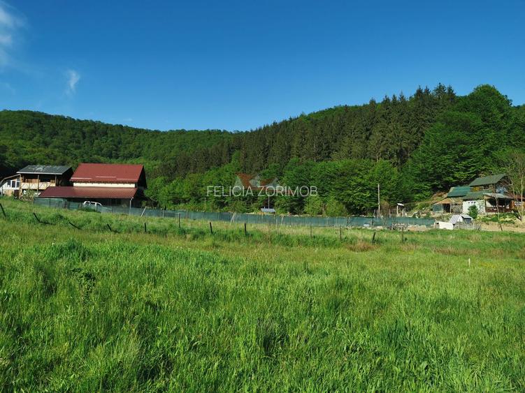 Teren la vanzare in Dej,cartier Viile Dejului - 11