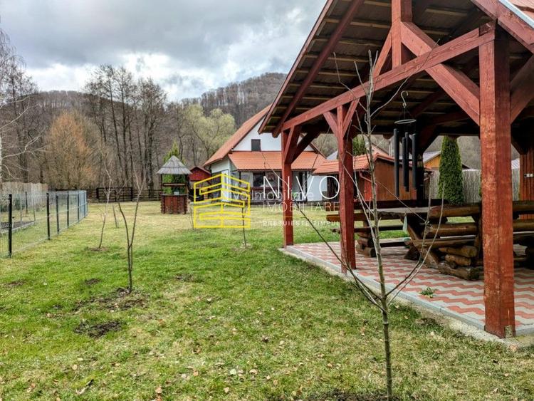 Casă singur în curte – Mureș – Câmpu Cetății - 28