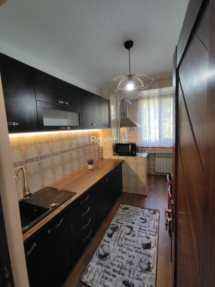 Apartament de inchiriat 2 camere - 4