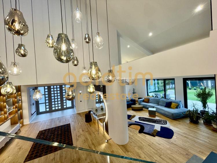 UNICA/ABSOLUT SUPERBA/ VILA INDIVIDUALA/IANCU NICOLAE/CURTE GENEROASA - 45