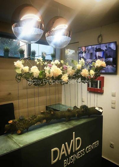 David BC. ,Erou Iancu Nicolae 29 - comision 0%, reprezentam proprietarul! - 6