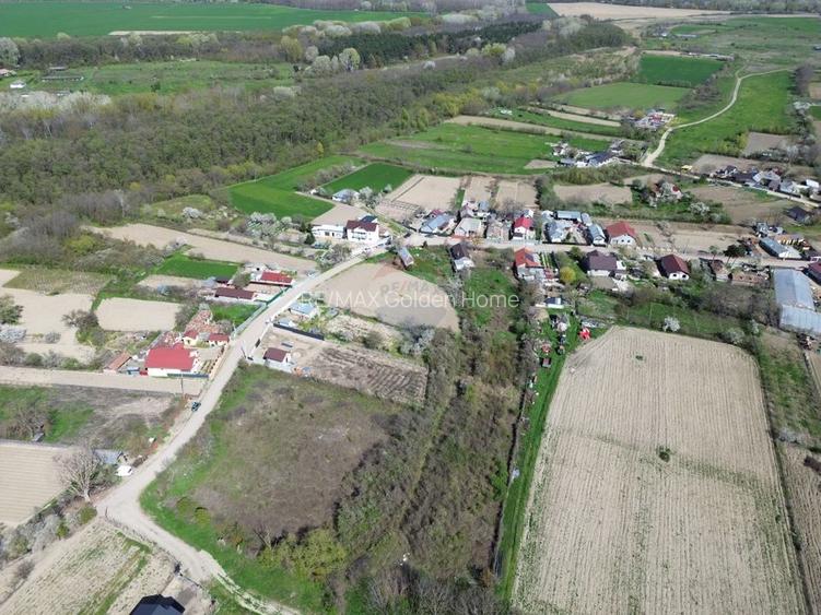 Teren 1,660mp Radulesti / Com Vanatori - 8