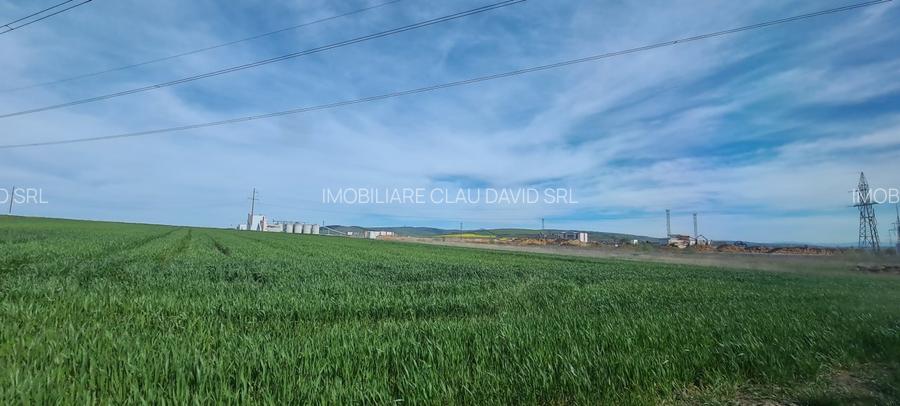 TEREN EXTRAVILAN LANGA FABRICA DE CHERESTEA Holzindustrie Schweighofer - RECI - 11