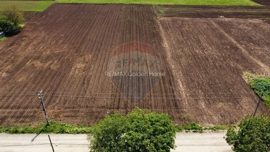 Teren Tifesti / Strada Secundara 47 - 7