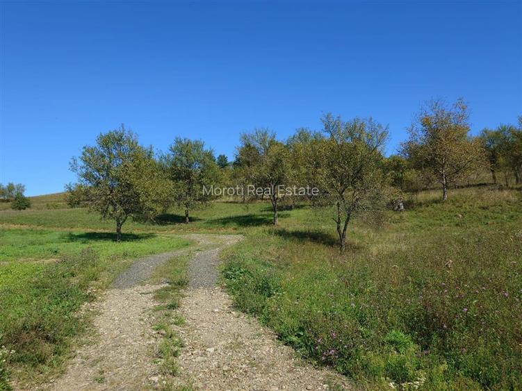 Teren intravilan 8757 mp cu acces direct la E79 - 7