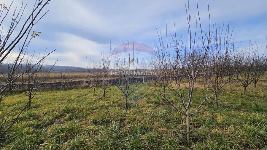 Teren extravilan 10,791mp Falticeni / Strada DJ209A, Opriseni - 3